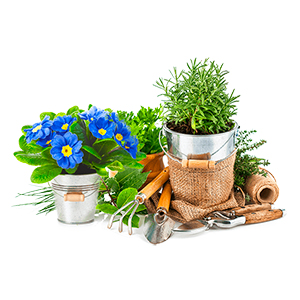 Giardinaggio