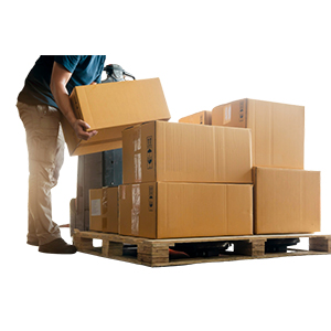 Logistica e Gestione Operativa