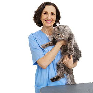 Veterinaria